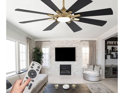 60" ceiling fan black