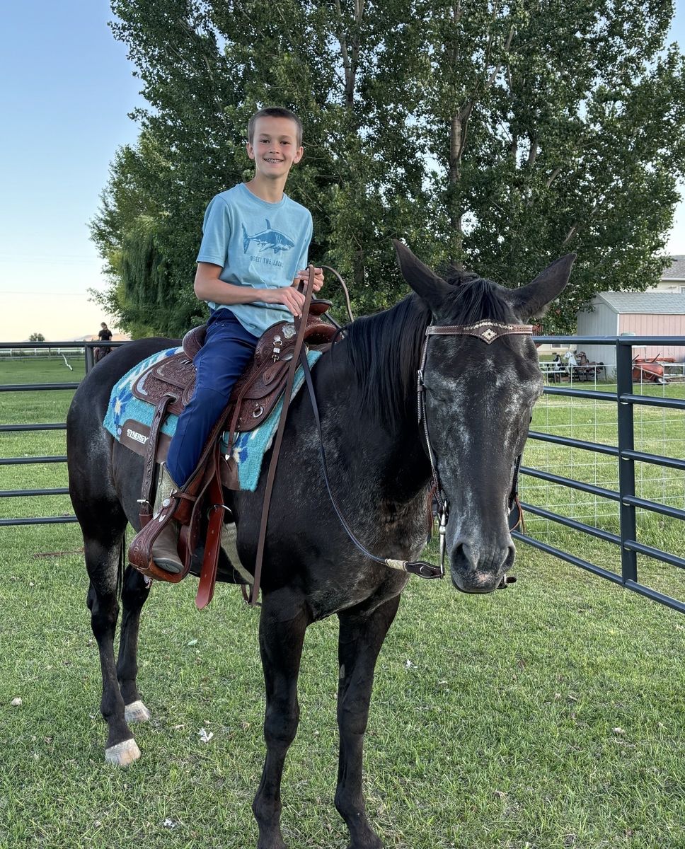 21/22 Appaloosa Mare