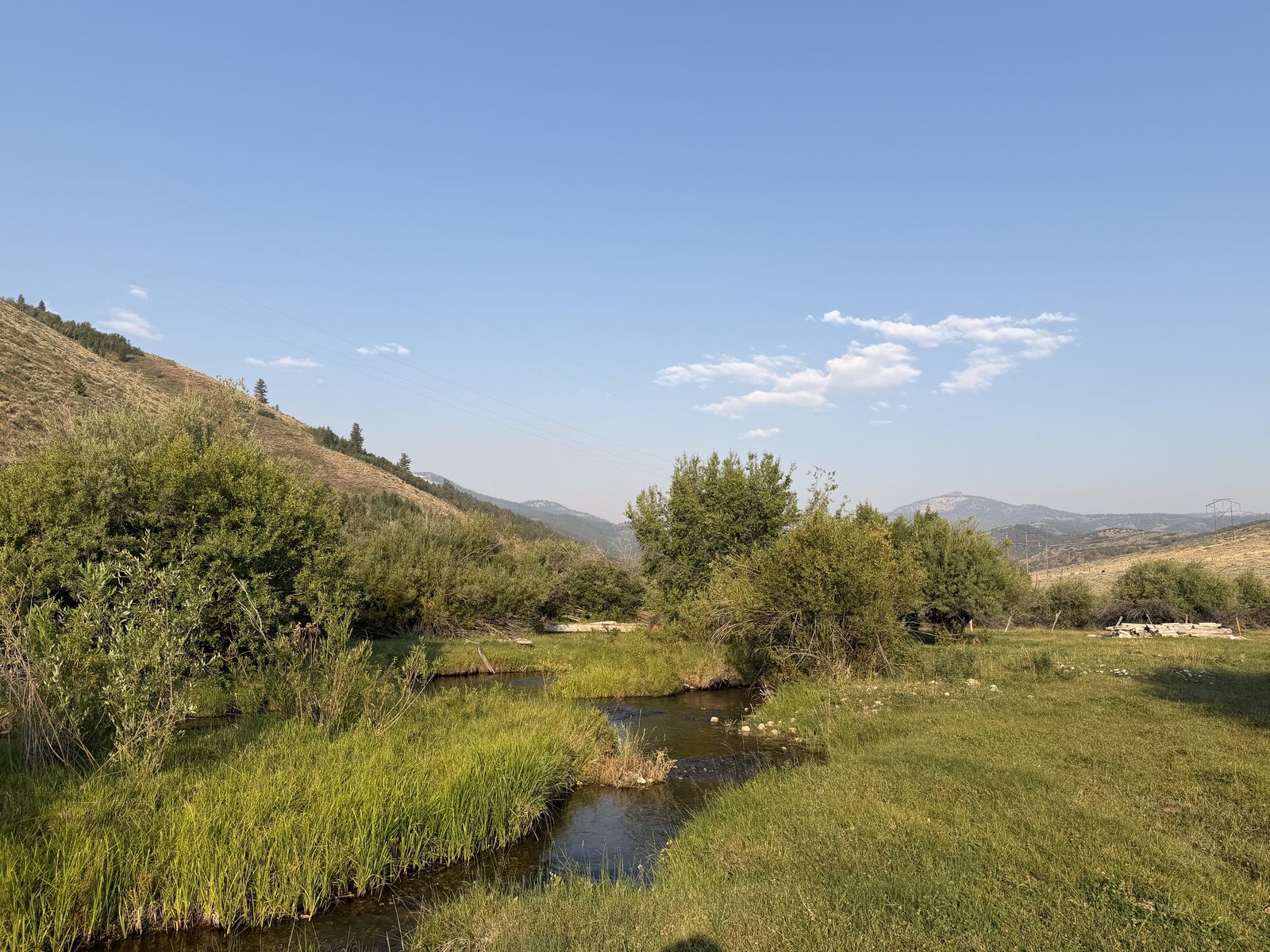 Main image 6
