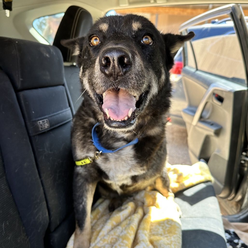 Hello my name is Leon