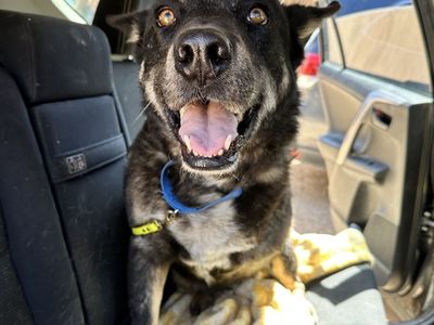 Hello my name is Leon