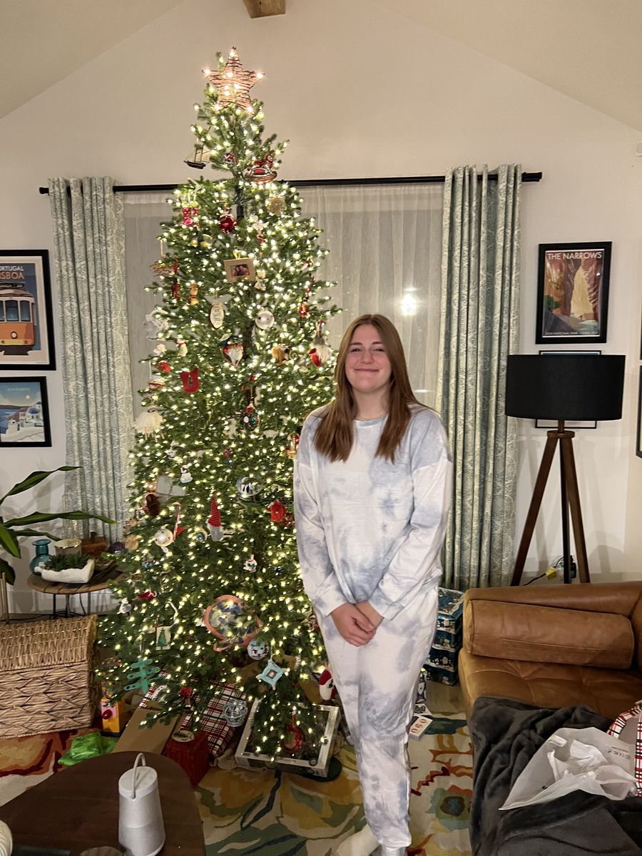 9 foot Christmas Tree