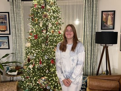 9 foot Christmas Tree