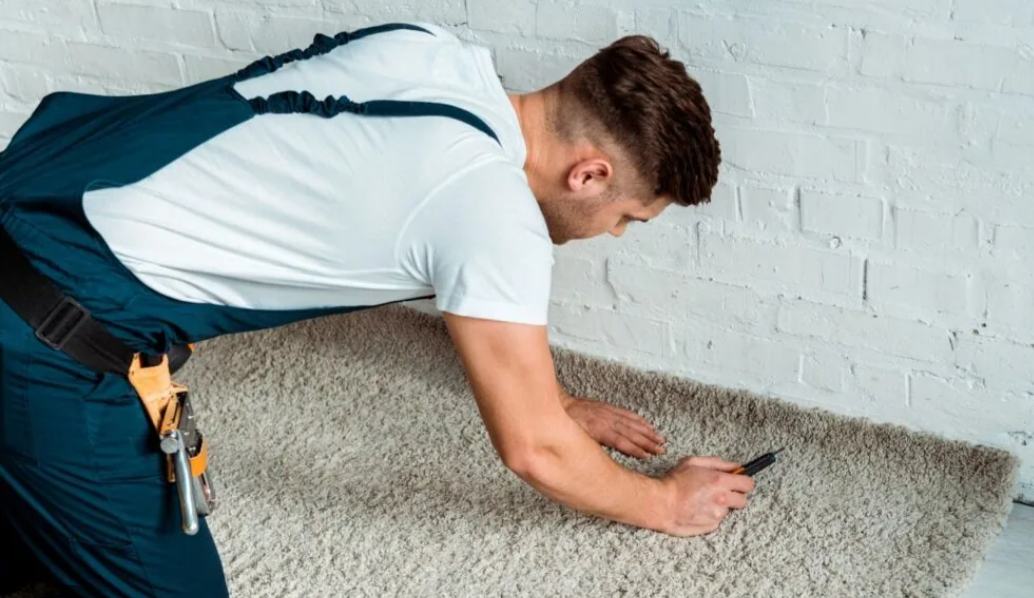 Iso a carpet helper $50