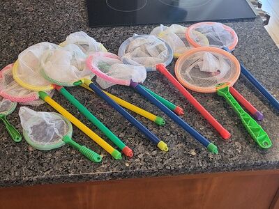 12 Butterfly Nets