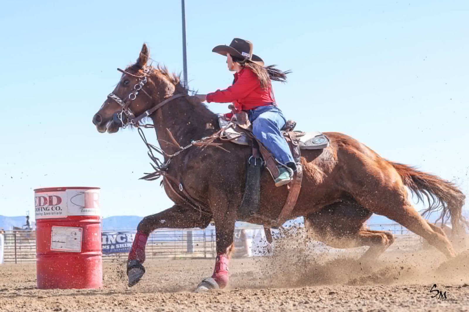 12 yr old barrel horse