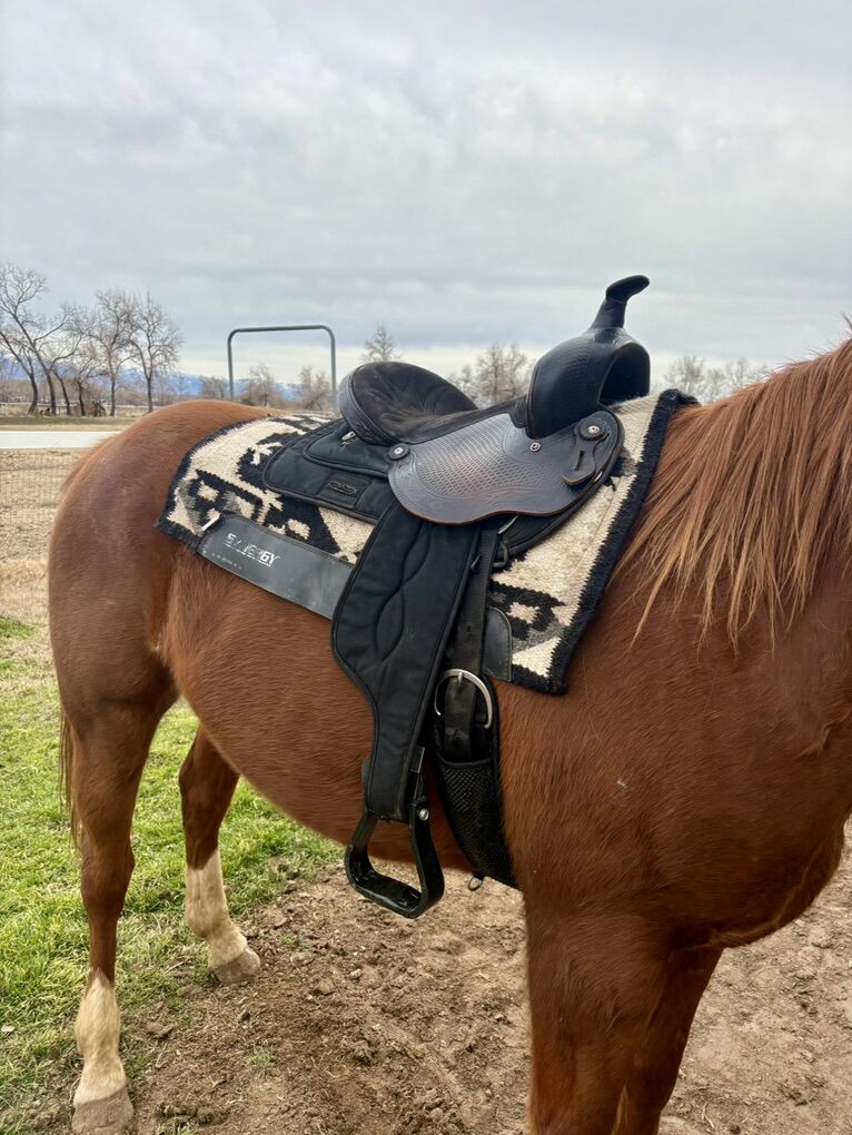 Light Weight Saddle For Sale 15
