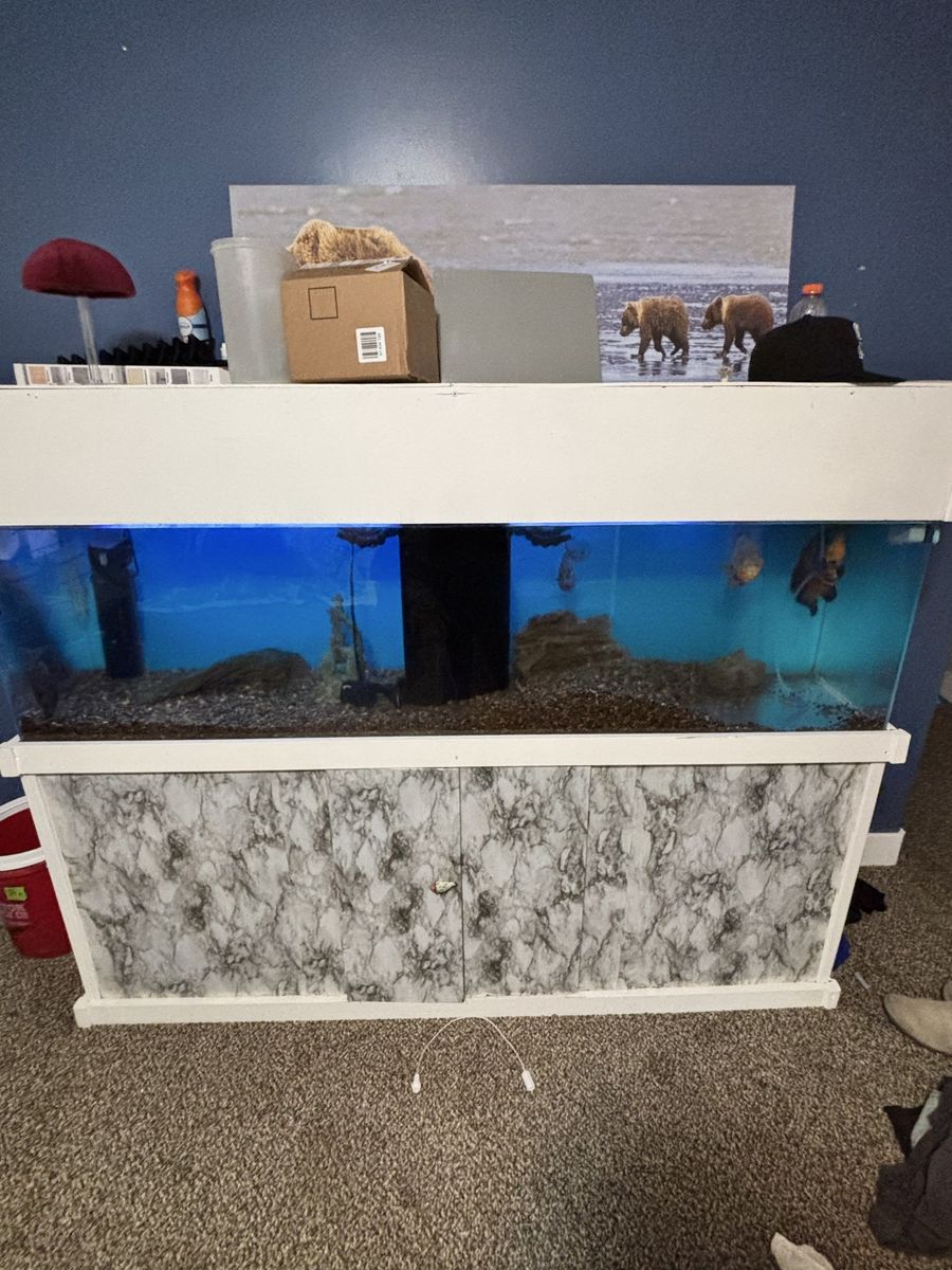 150 gallon Large Aquarium Fish Tank with Custom Cabinet Stand