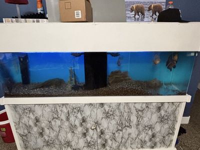 150 gallon Large Aquarium Fish Tank with Custom Cabinet Stand