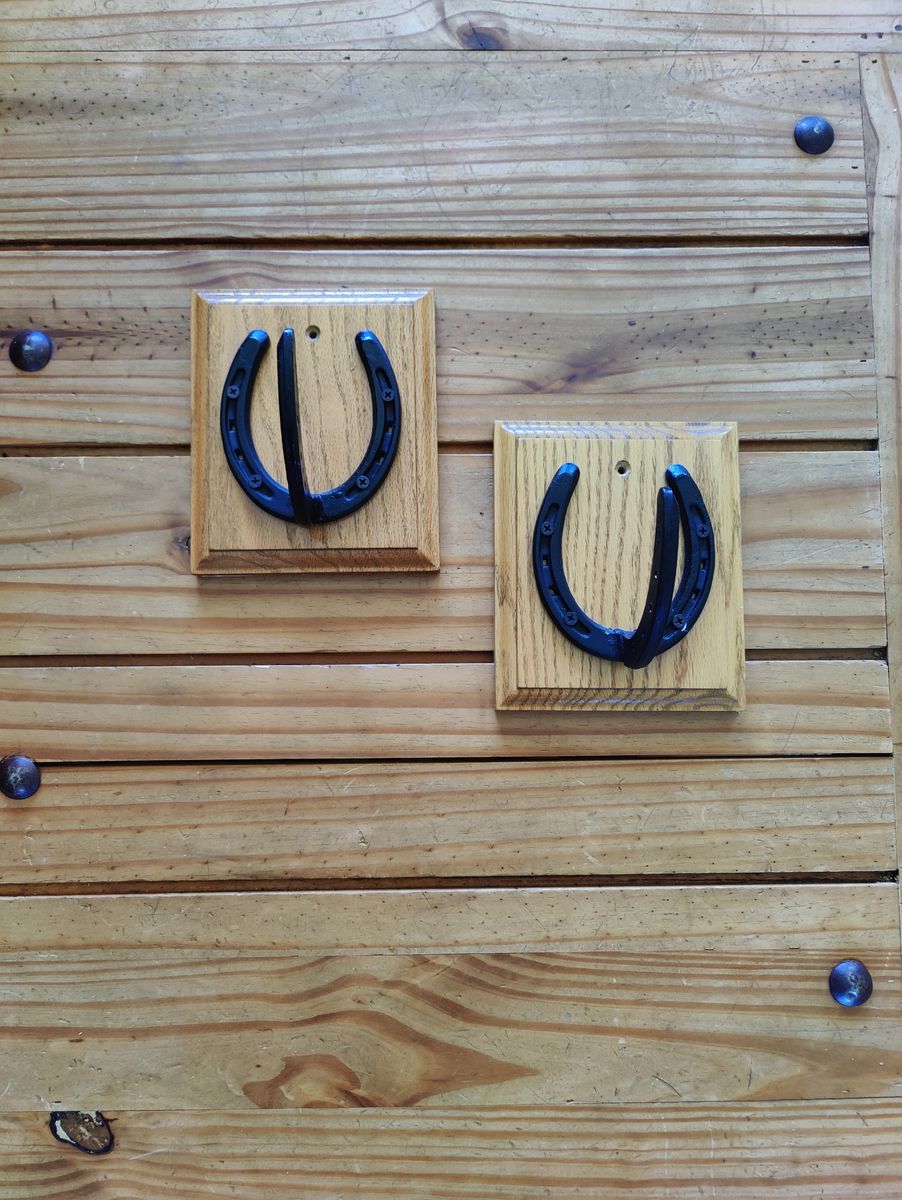 Pair of Horseshoe Style Wall Mounted Hangers