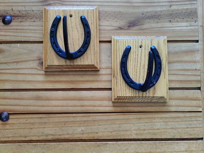 Pair of Horseshoe Style Wall Mounted Hangers
