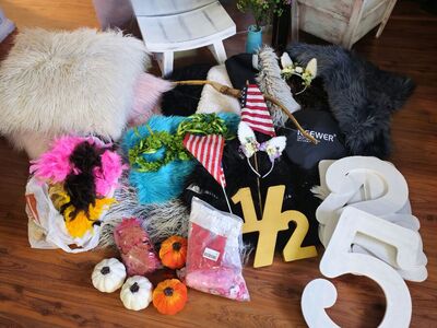 Huge photography props lot