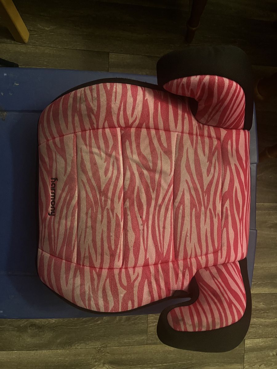 Chid booster carseat