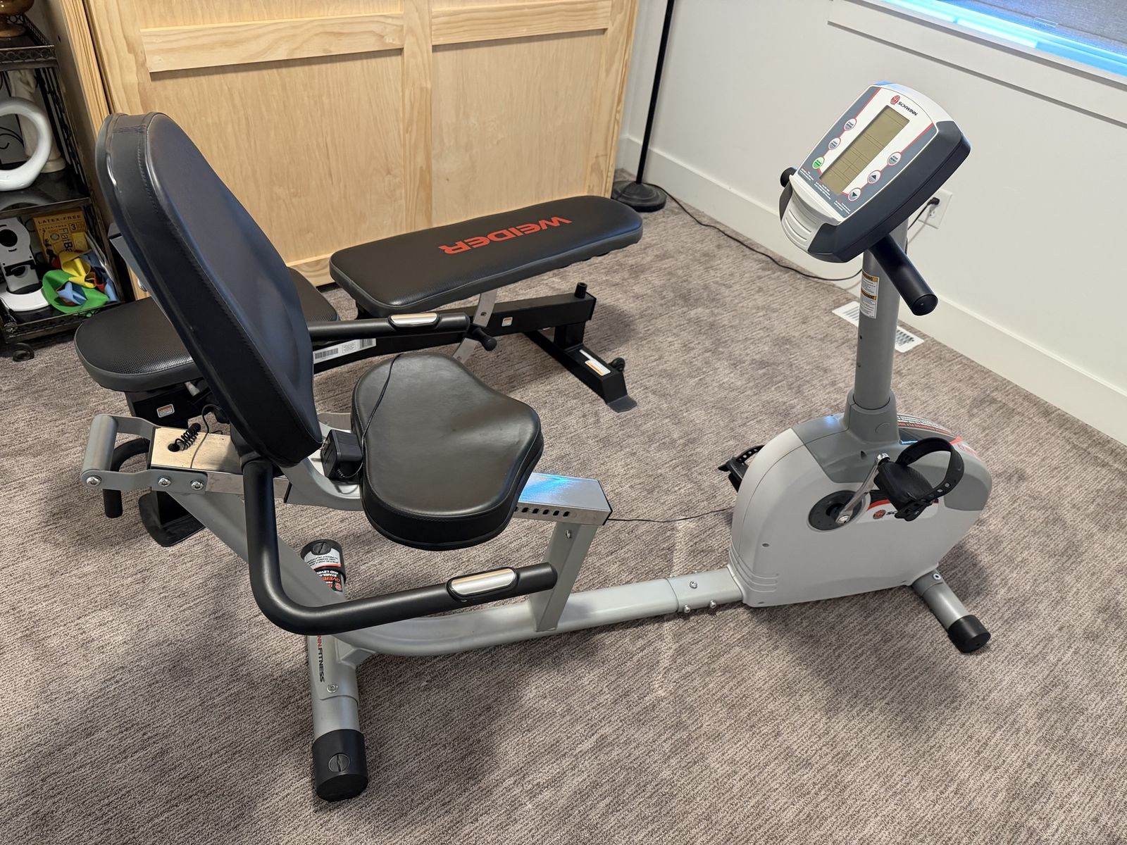 Schwinn recumbent bike