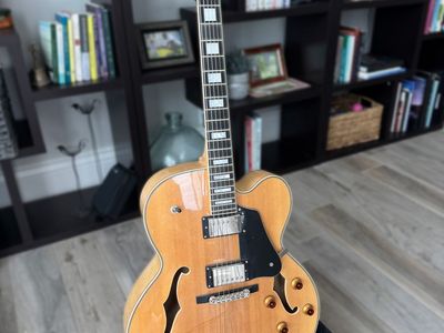 Agile Electric Guitar