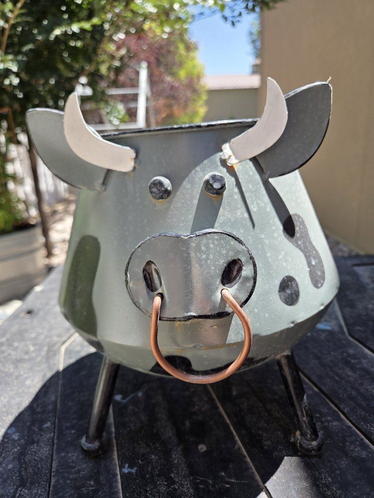 Cute Planter Pot - Metal Indoor/Outdoor Decor