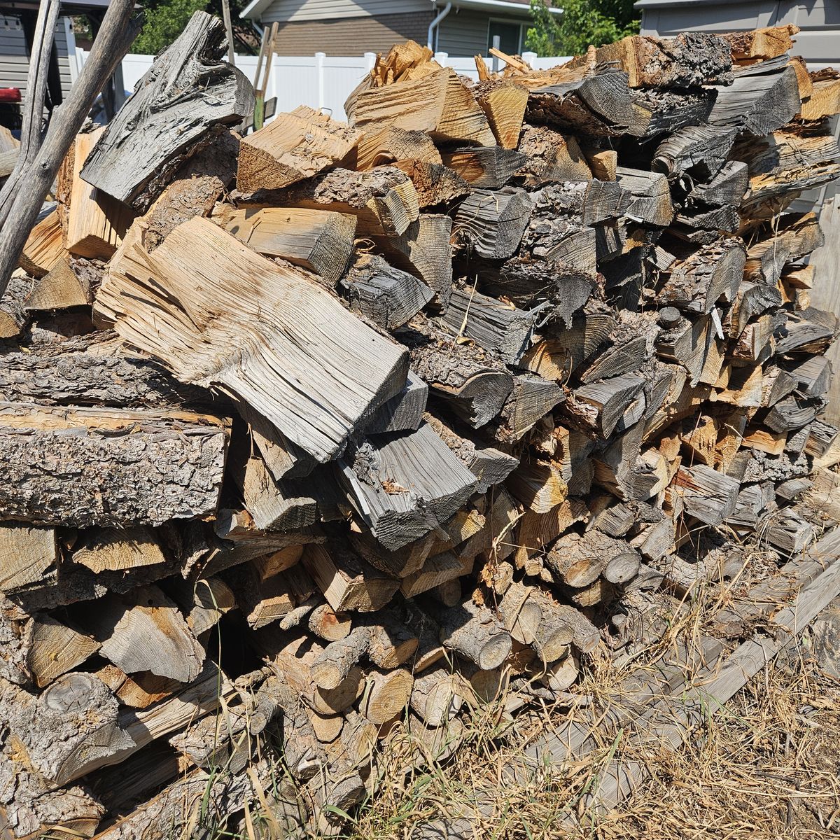 Cheap to FREE wood: mix of firepit and smoker wood