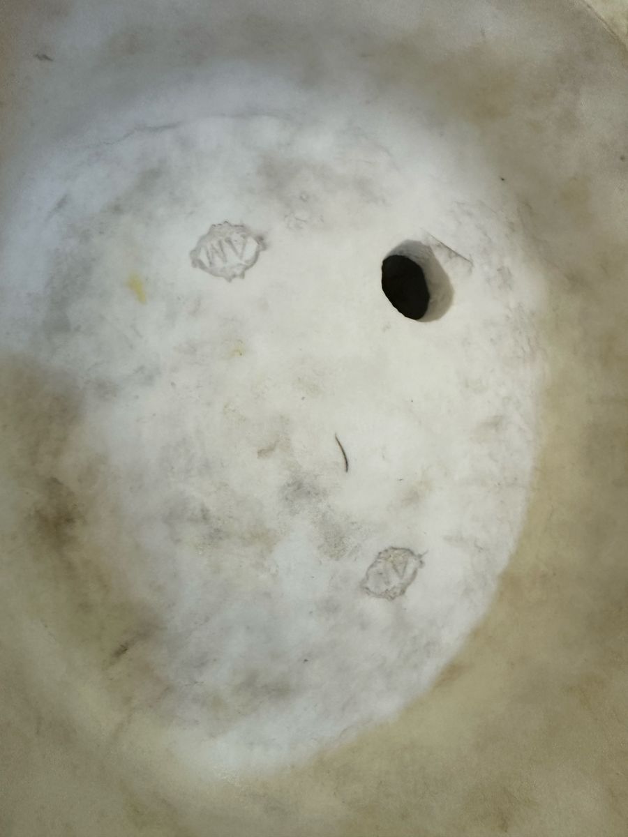 Main image 11