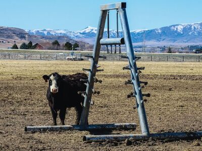 Heavy-Duty Galvanized Cattle Scratcher