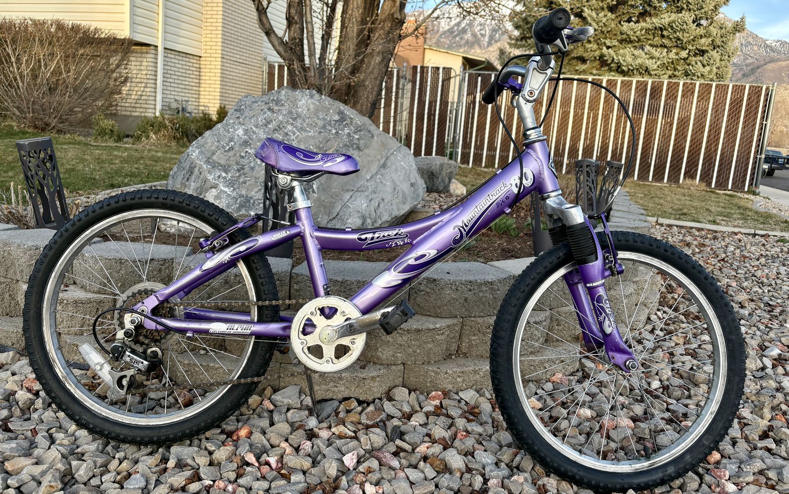 20 Inch Trek 6 speed Bike