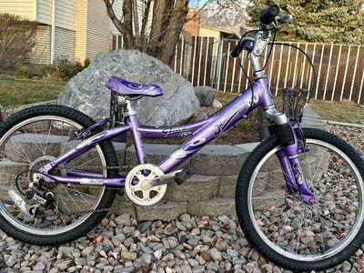 20 Inch Trek 6 speed Bike