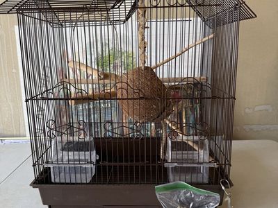 Brass Metal House-Style Bird Cage starter kit - includes two feeders and Seed