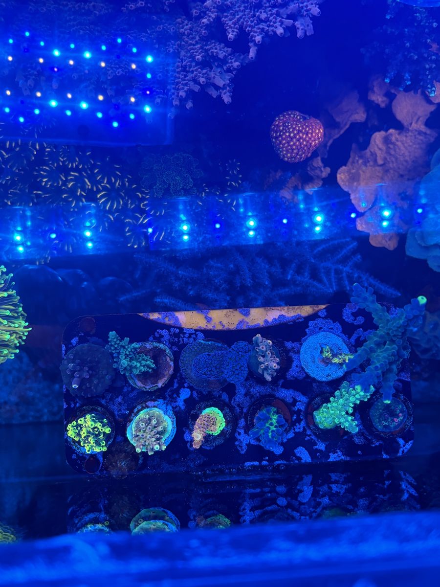 Main image 5