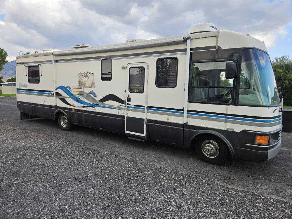98 dolphin motor home
