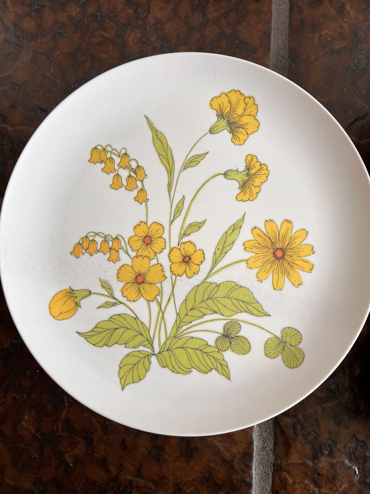 Vintage melamine dinner set