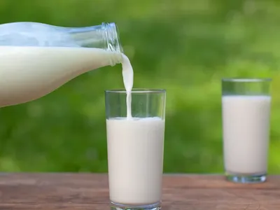 Grade A Raw Goat Milk - Great Tasting Wholesome healthy Goat Milk For Your Family