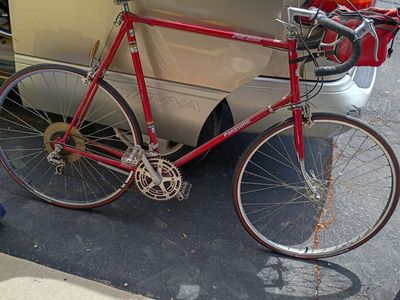 Panasonic 12 speed bike