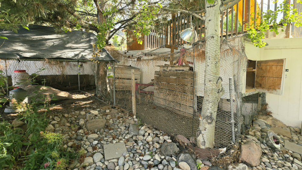 Main image 10