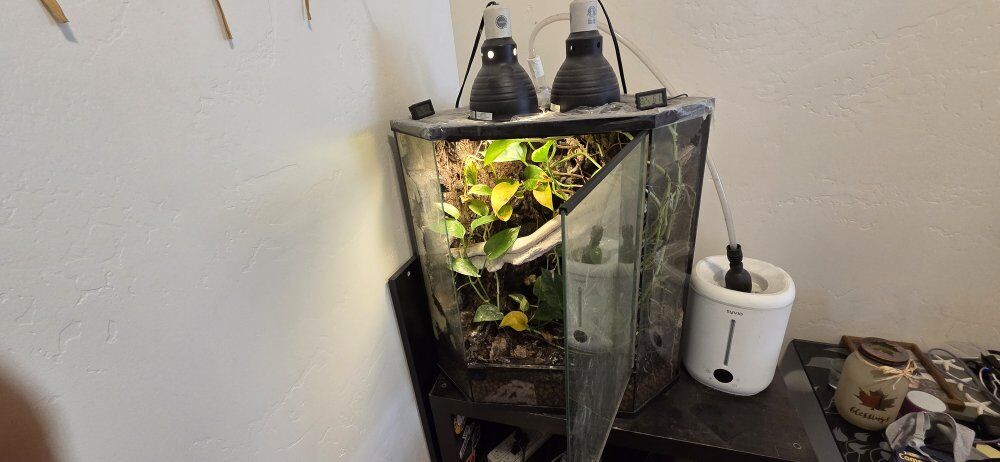 Conner tank with everything