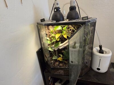 Conner tank with everything