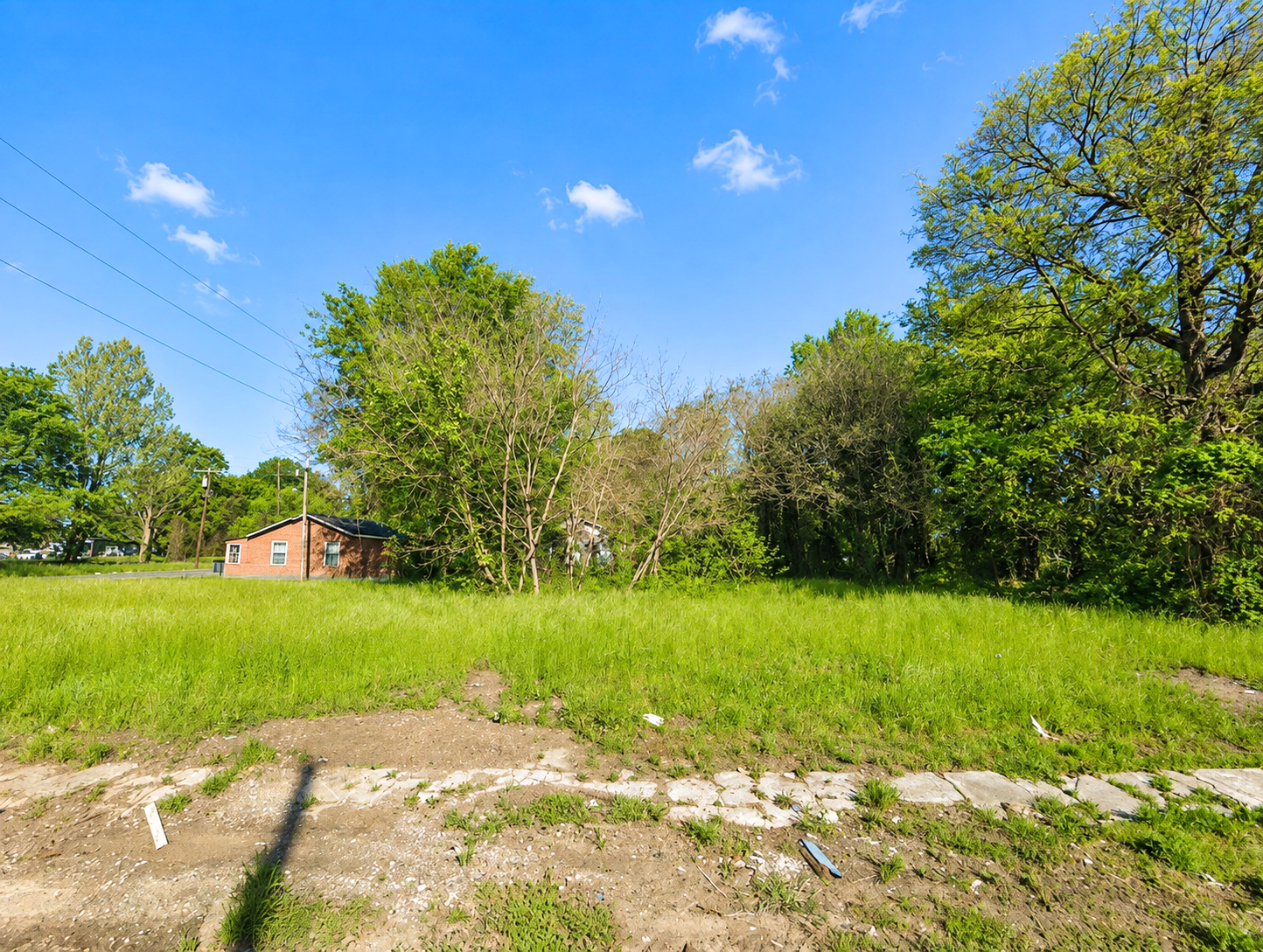 Main image 8