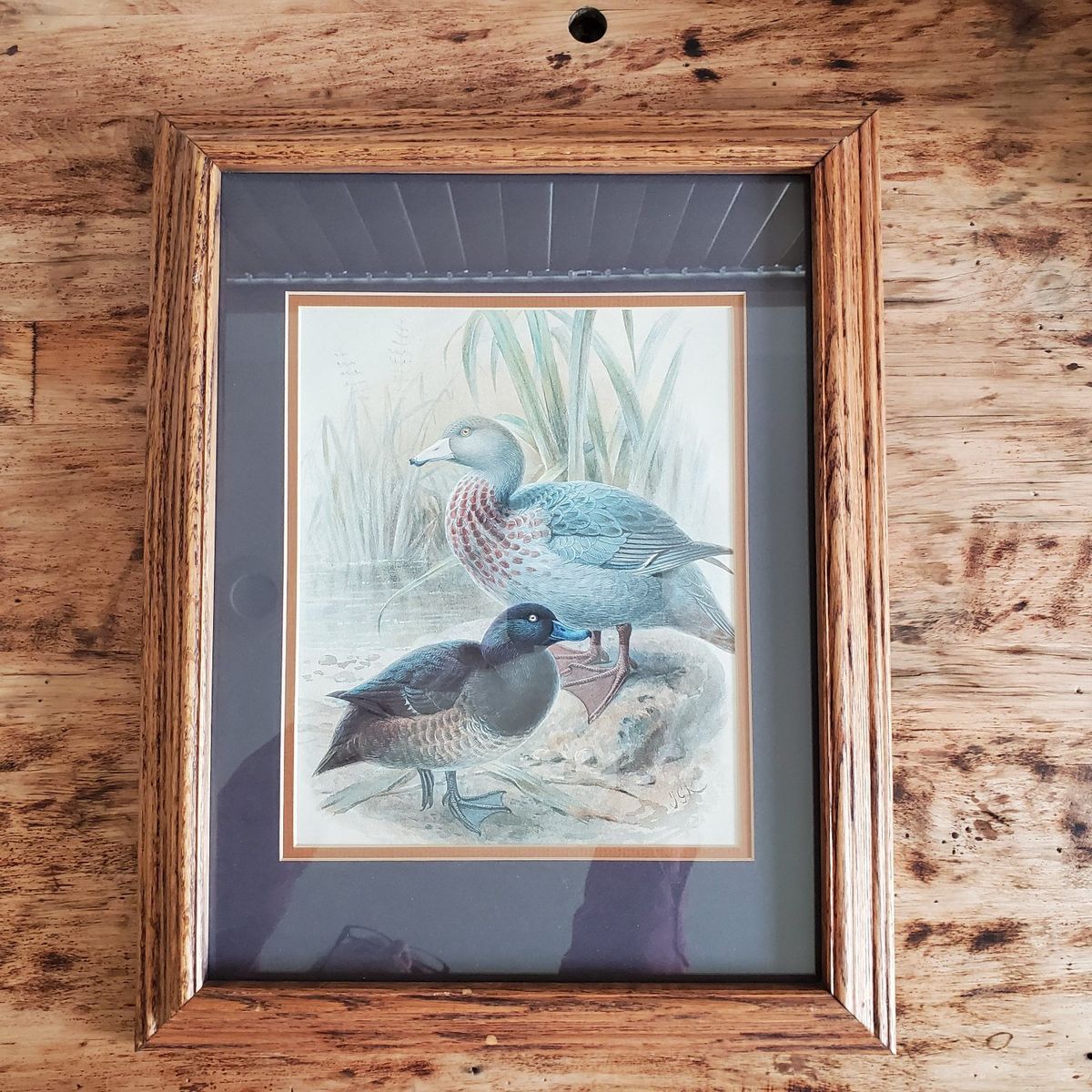 Print is titled "Blue Duck"