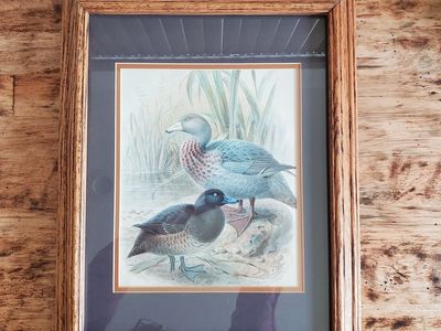 Print is titled "Blue Duck"
