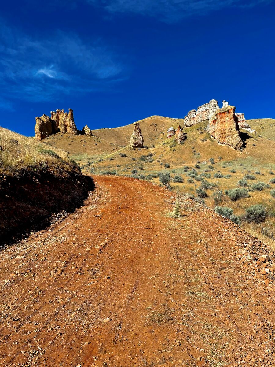 Horse property for lease