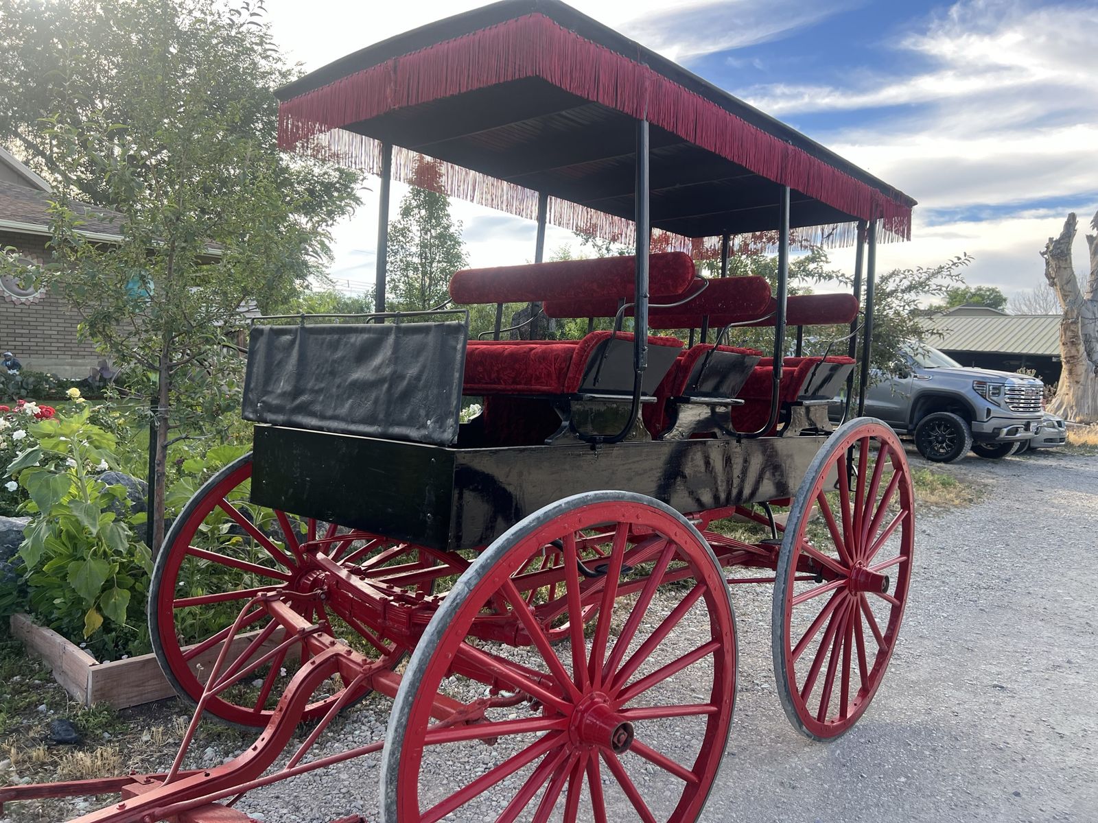 Wagonette, surrey Horse Buggy
