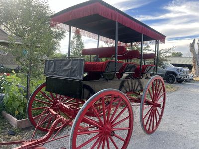 Wagonette, surrey Horse Buggy