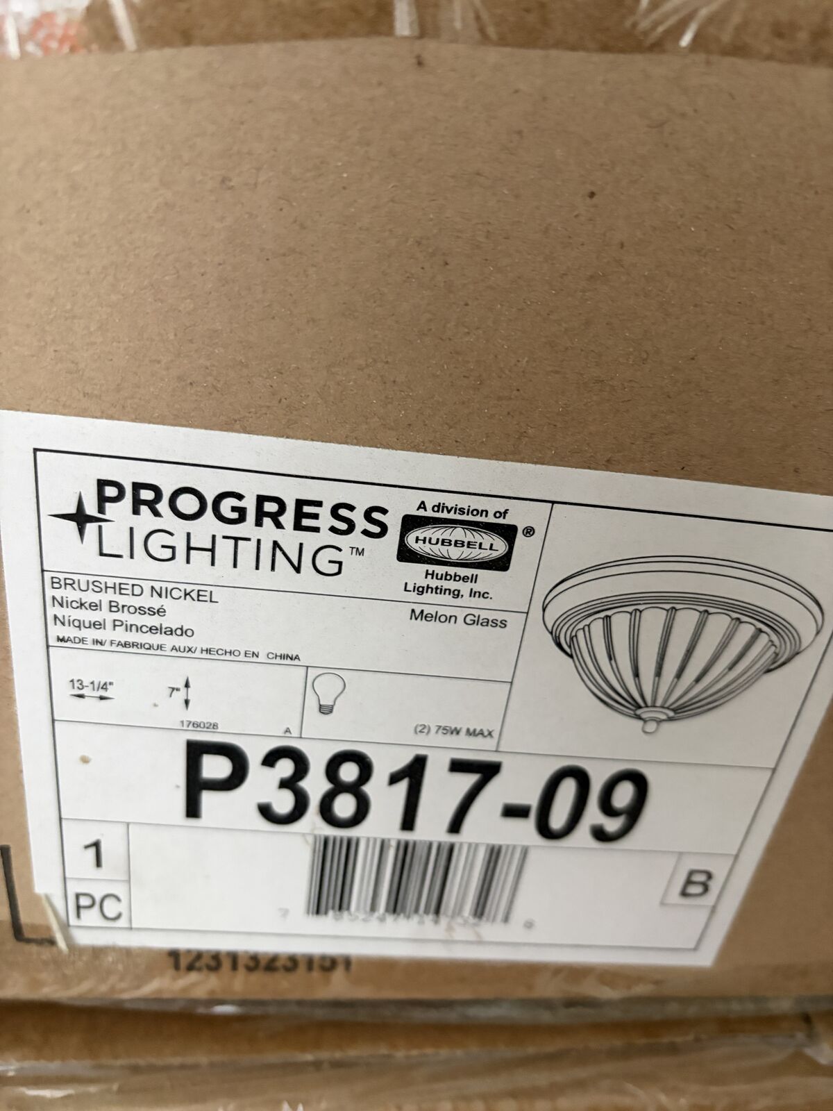 *NEW* Progress Lighting Brushed Nickel Flush Mount