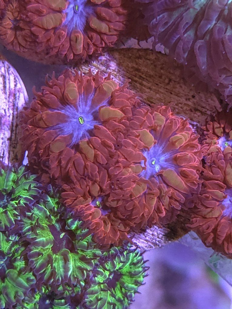 Main image 3