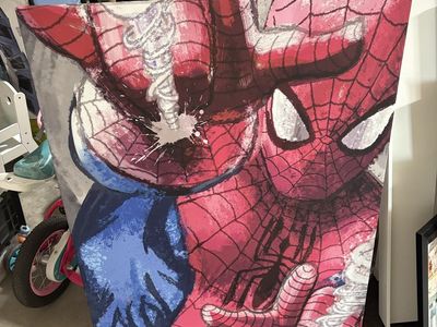 Spiderman Room Decor