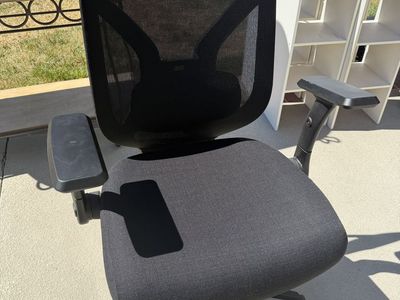 Costco Office Chair