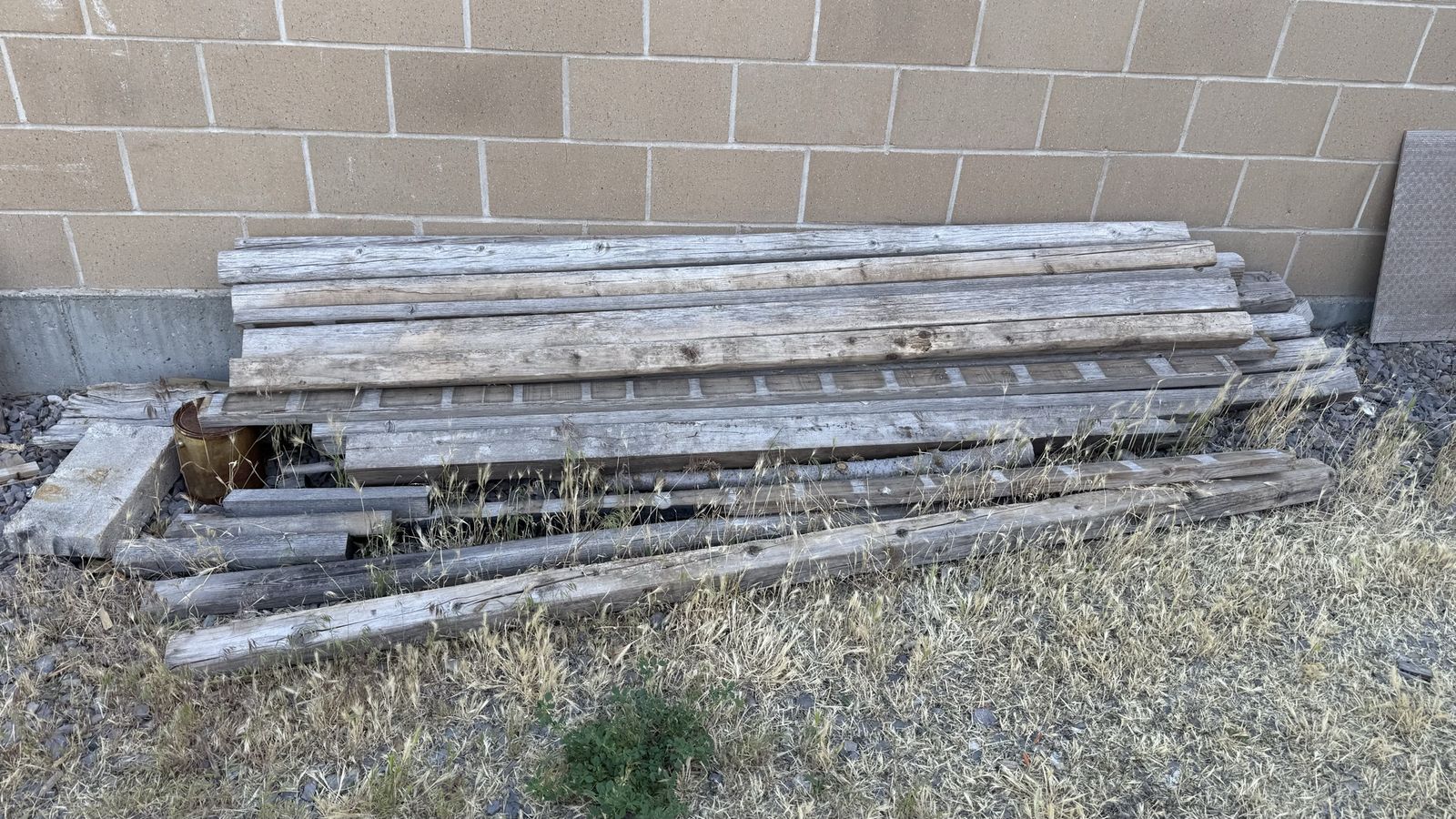Wood
