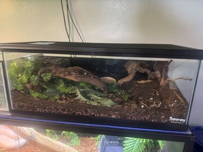 Bio active 36x18x12
