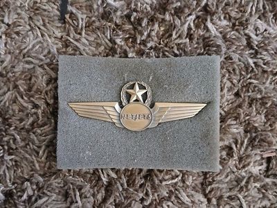 Netjets pilot wings