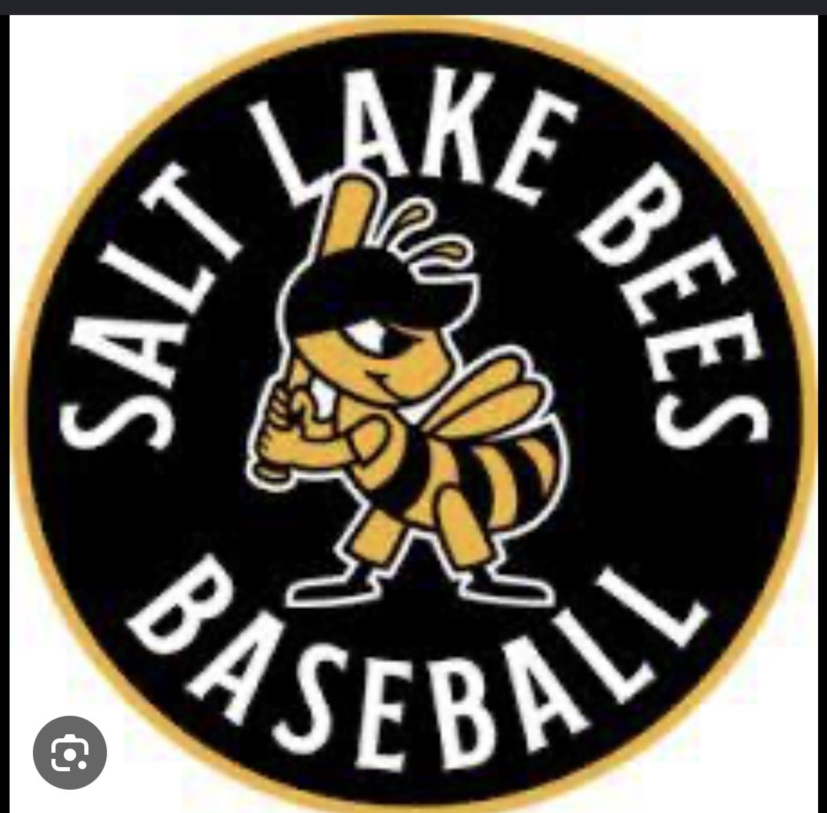 Salt Lake Bees Baseball Game Tickets July 23 6 tickets