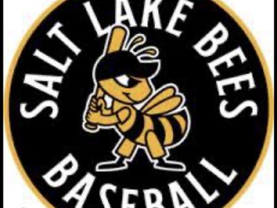 Salt Lake Bees Baseball Game Tickets July 23 6 tickets
