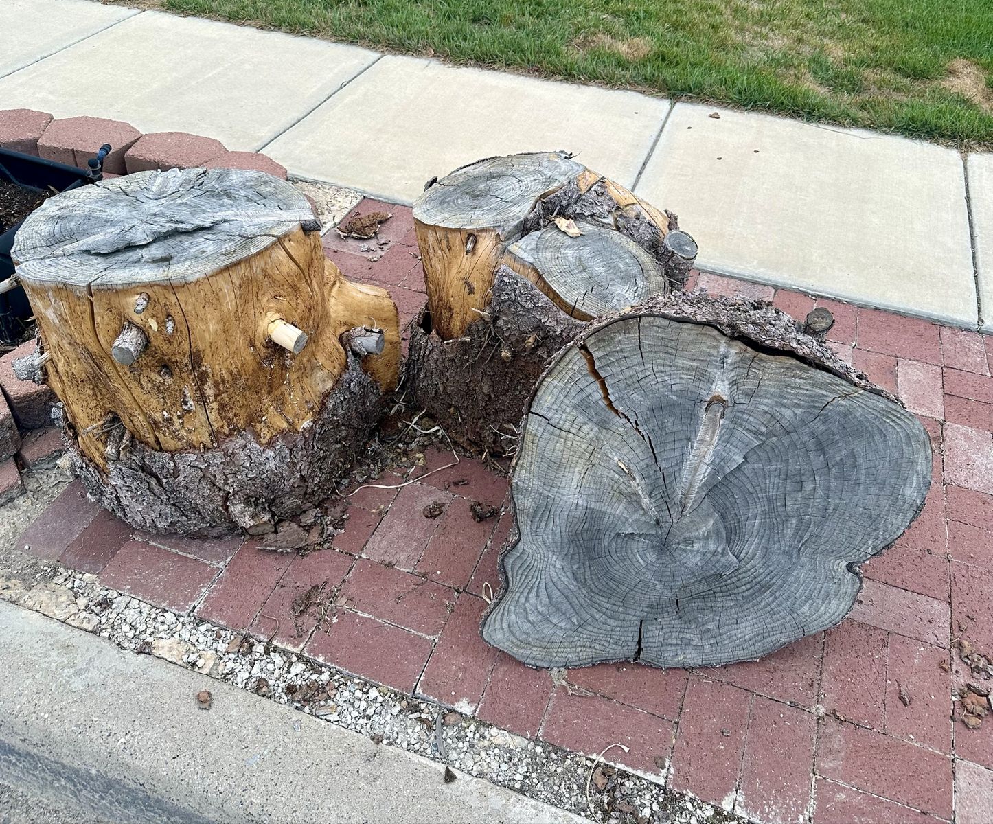 Large Wood Stumps/Logs